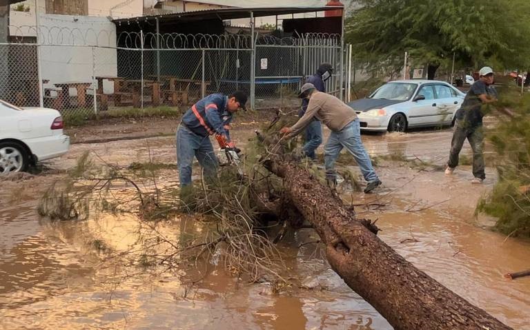 Lluvias del fin semana dejan daños y fallas eléctricas en
Hermosillo