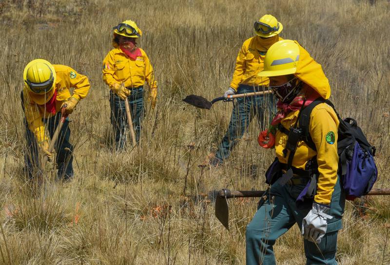 México ‘arde’: Hay 68 incendios
forestales activos en 19 estados