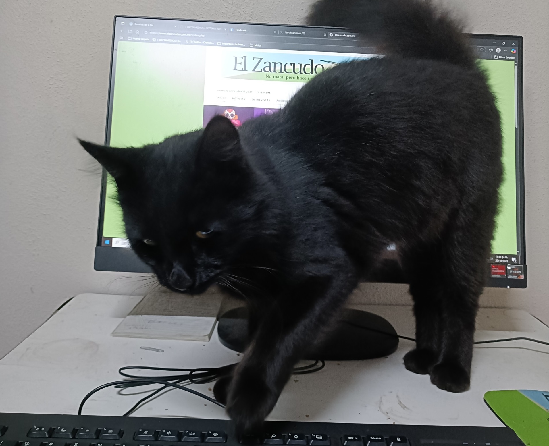 6336435970_e82257563d_b