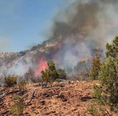 Con 35 incendios forestales, 2022
supera cifras del 2021 en Sonora, reporta Conafor